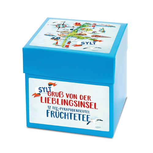 Teereise-Box Lieblingsdinge aromatisierter Früchtetee - 12er-Box